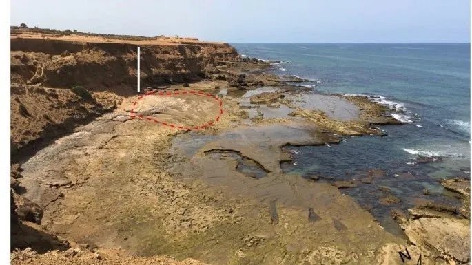 這些足跡（紅色虛線區域）位於摩洛哥拉拉赫市沿岸。翻攝nature/sceientic reports