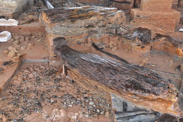 濛溪河遺址發掘現場。新華社