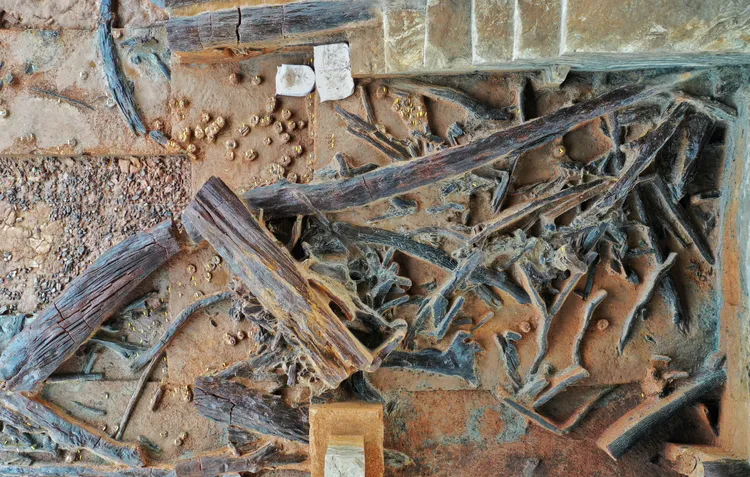 濛溪河遺址發掘現場。新華社