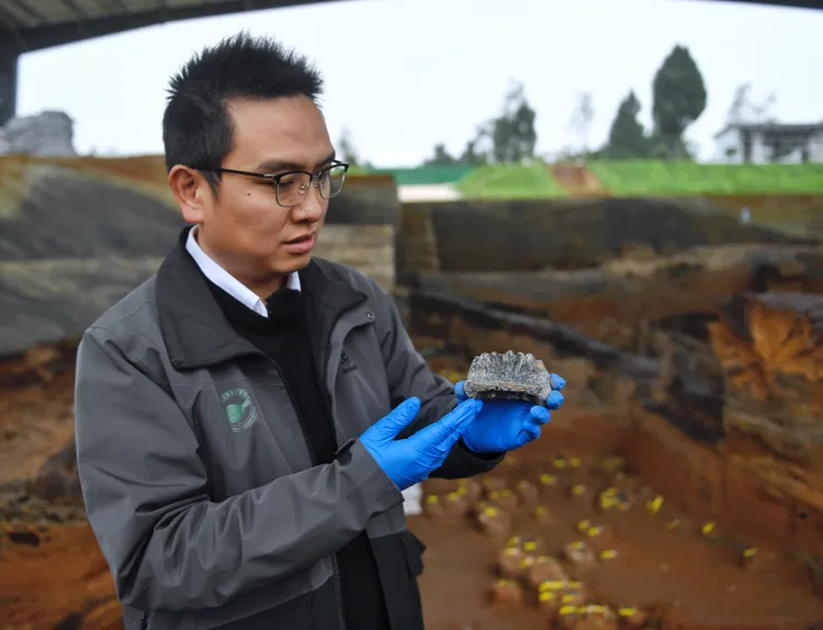 四川省文物考古研究院舊石器考古研究所所長鄭喆軒，正展示從濛溪河遺址出土的象牙。新華社