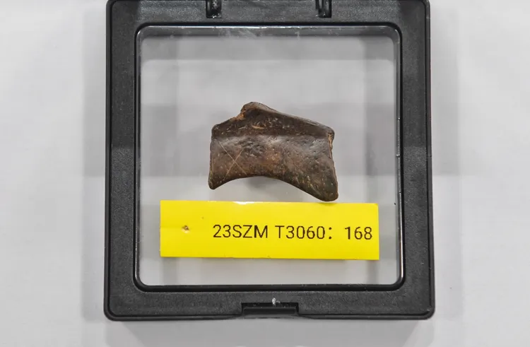 濛溪河遺址發掘的骨器，上面的「X」型劃痕疑為計數之用。新華社