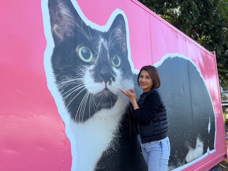 邱議瑩邀請大家新年來到高雄東九區旅遊。邱議瑩服務處提供