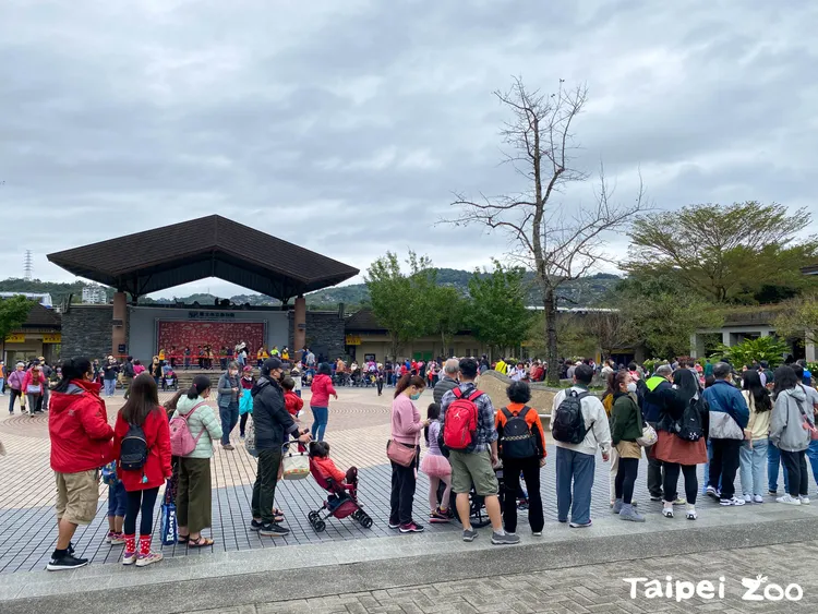 北市動物園將於春節期間推出號稱「土龍」山椒魚生肖年特色限量門票。北市動物園提供