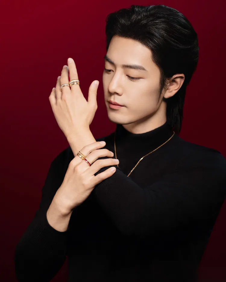 肖戰2024新春廣告大片。品牌提供