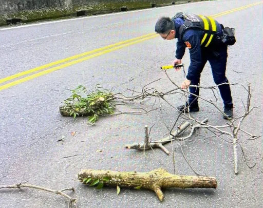 台7線大溪段枯枝掉落地影響行車 警民合作20分鐘清除順利恢復通行