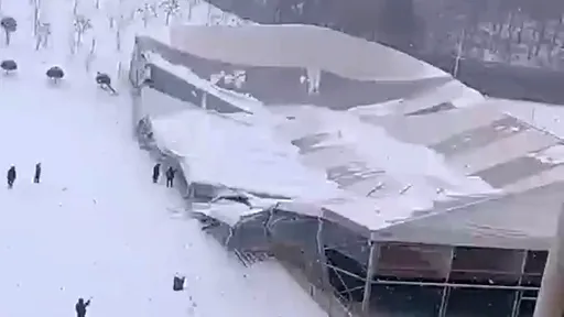 你敢用？中國體育館興建不到半年　屋頂就被大雪壓垮了