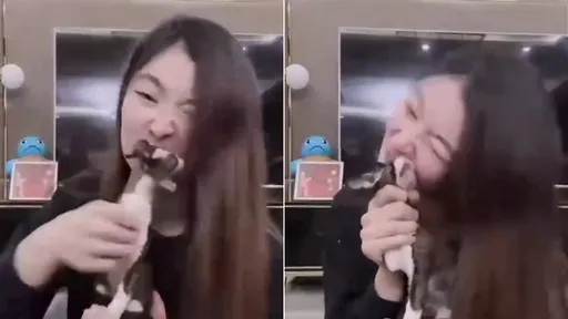 女網紅「啃活貓」直播凌虐 網友驚呆:小貓抽搐臉都咬爛了
