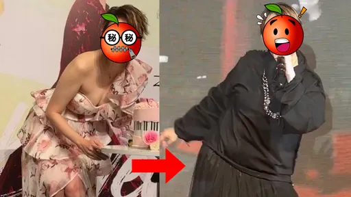 「寶麗金四小花」未婚生子好自在 年過半百身形暴脹