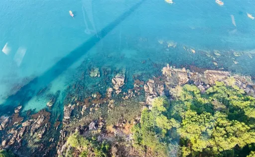 台人遊越南富國島遭丟包 觀光署:積極協調確保旅客順利返國