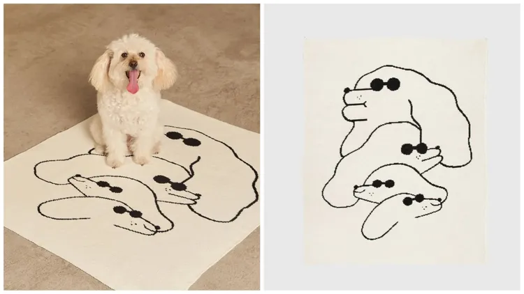 Dawgs小蓋毯，5500元。品牌提供