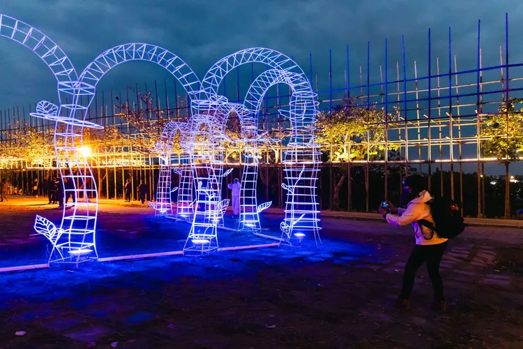 入夜燈海動人。市府提供