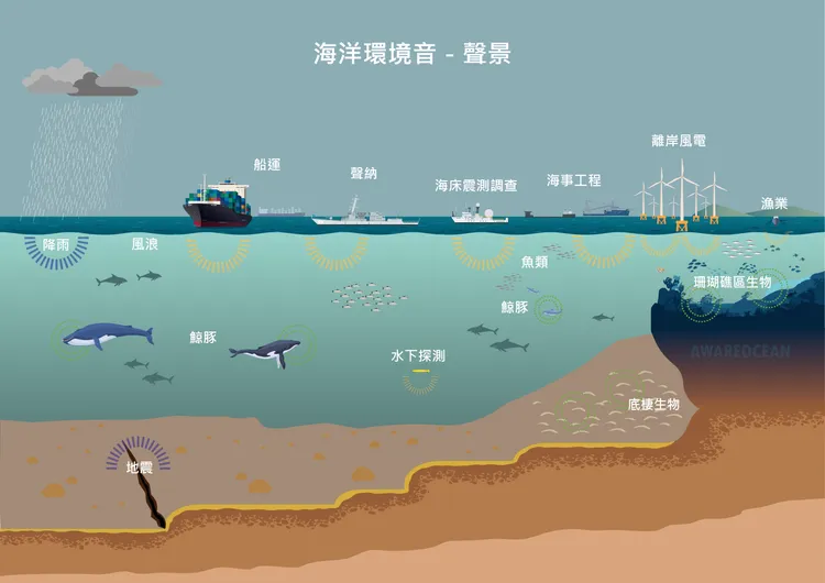 《鯨聲鯨視必修課》介紹海洋環境噪音。中山大學提供