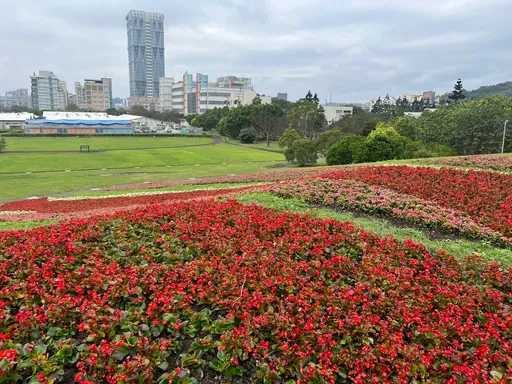走春熱點|北市港湖踏青賞櫻觀花海 1.6萬株海棠花感受春天氣息