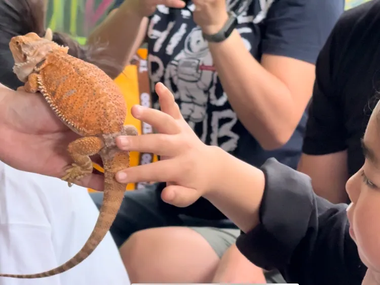 《龍年特展》零距離與爬爬互動。頑皮世界提供