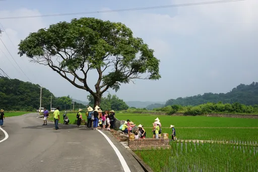 走春熱點|在地特色營造還促進就業 北中南東4大推薦景點一次看