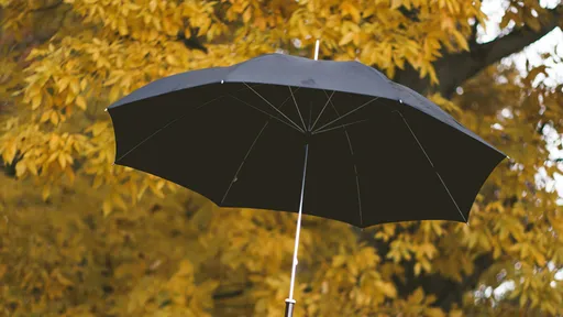 雨傘被偷怕了 他傘柄「7字防賊」吸引百萬網友狂讚