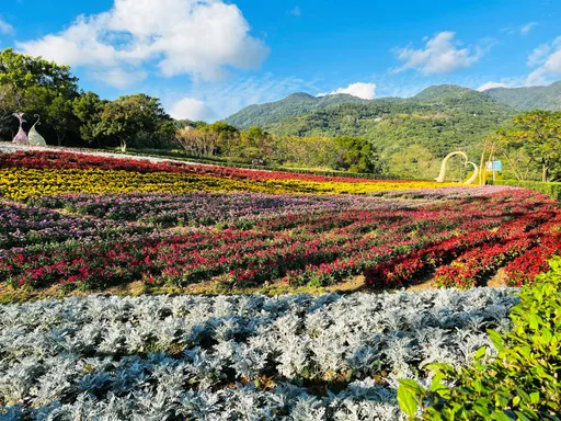 三層崎花海登場 北投老爺祭住房優惠!茹曦酒店吃到飽飄義大利味