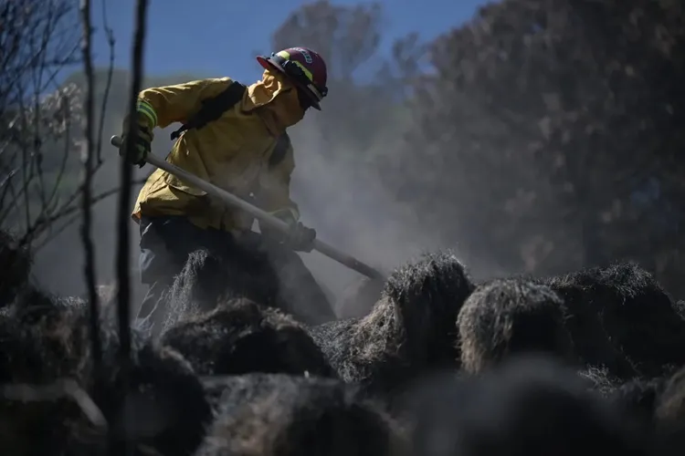 瓜國政府向國際請求協助救災。取自臉書／瓜地馬拉政府