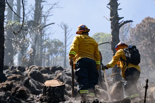 瓜地馬拉森林大火重創生態 台灣捐近千萬物資救災