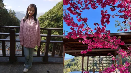 周子瑜回台賞櫻祕境曝光 回歸16歲清純模樣!他寫詩告白「我愛妳」