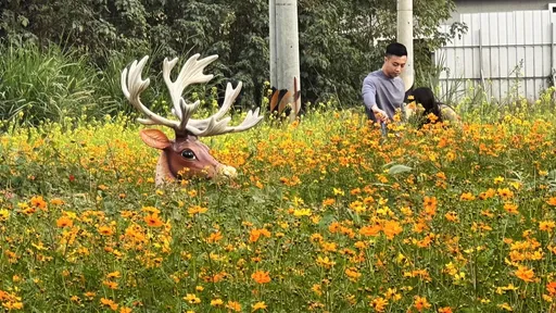 走春熱點|台南水道博物館花海 「花間小鹿」初一迎客囉