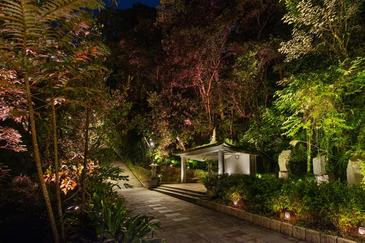 指南宮千階竹柏參道已完成光環境營造，日夜各具風情。北市公園處提供