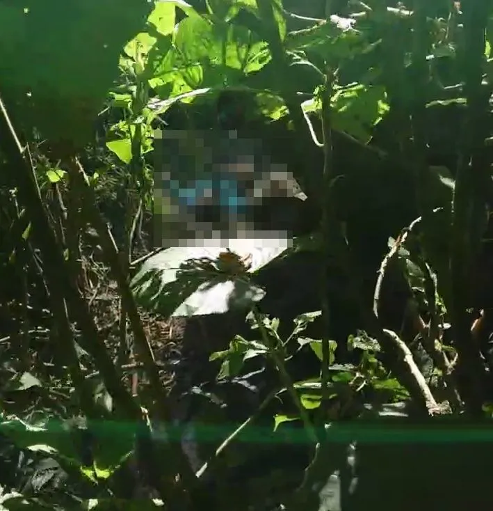 許姓阿嬤失蹤2天，今天上午被發現倒臥在2公里外的溪谷，已明顯死亡。民眾提供