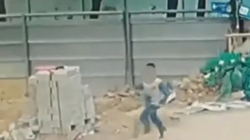 12歲男童逃家5天 稱靠玩網路遊戲學生存技能