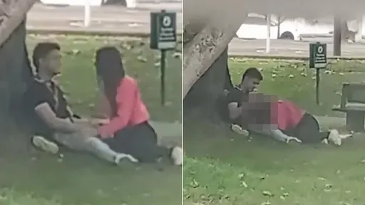 情侶大白天「公園大樹幹」 活春宮讓眾人傻眼直呼怎麼敢