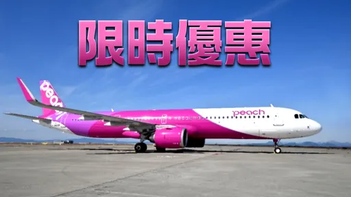 哈日族衝了!飛沖繩1690元、東京2480元起 樂桃航空今晚開搶