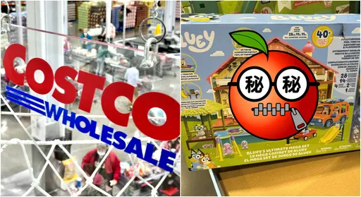 星號出現了!好市多超豪華玩具打5折 過來人想哭:跪求代購
