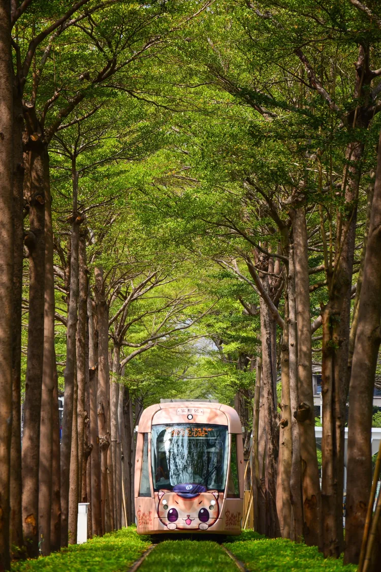 4月4日至4月7日期間，12歲以下兒童暢行無阻，無限次免費搭乘高雄捷運、輕軌、公車等大眾運輸。文化局提供