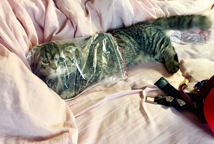 王欣儀這張「有窒息危險性行為照」引起討論。翻攝自王欣儀臉書
