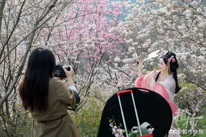 翻攝微博@都市快報