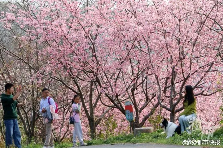 翻攝微博@都市快報