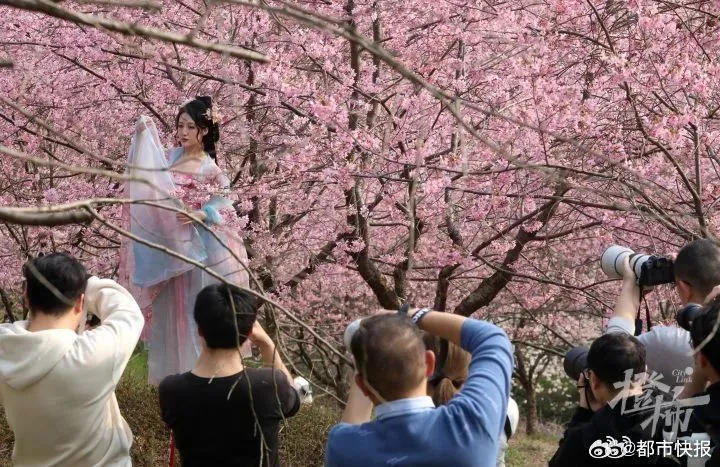 翻攝微博@都市快報