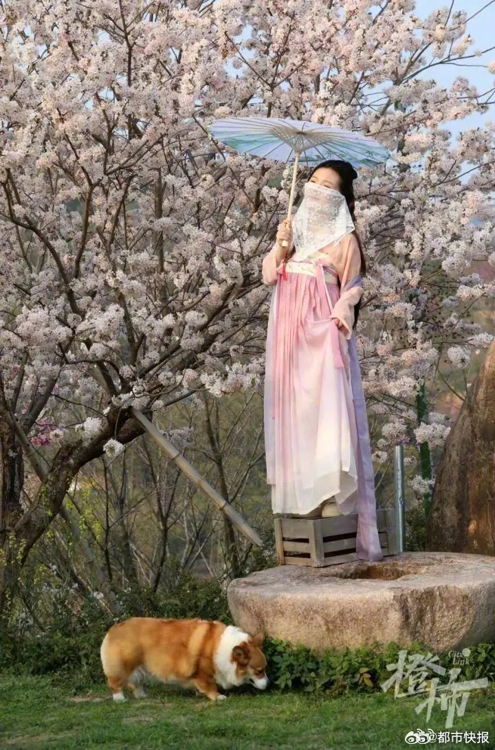 翻攝微博@都市快報