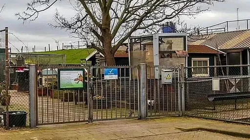 9歲童衝動物園「大屠殺」 徒手勒死11隻兔子天竺鼠