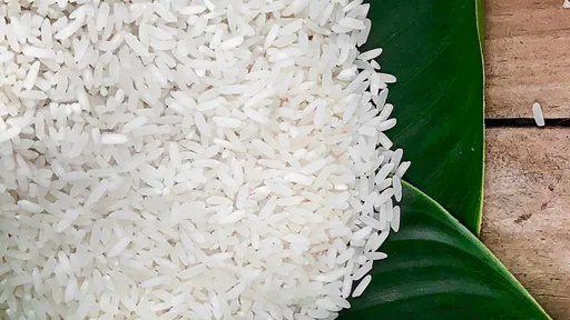 寶林茶室案|米酵菌酸「無解毒劑」死亡率4成 1天內器官衰竭