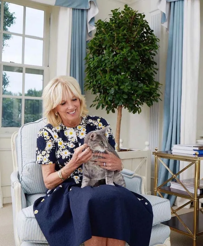 美國第一夫人吉兒與愛貓葳蘿。翻攝instagram@willowfirstcat