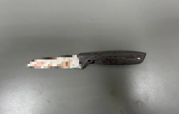 嫌犯行兇的15公分水果刀。翻攝畫面