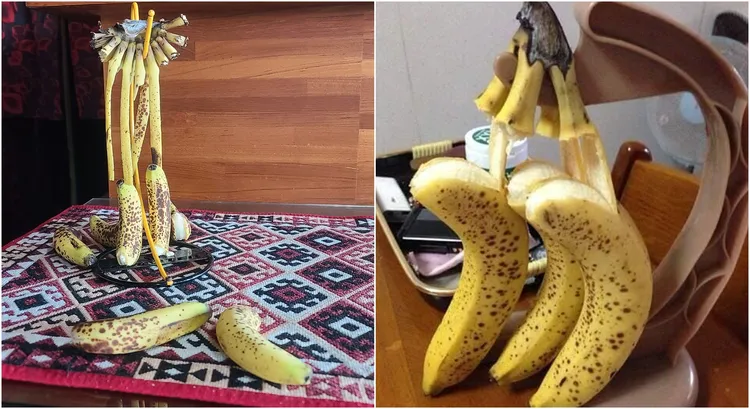 網友曬出自己或網路上，各種香蕉出逃集體自殺的狀況。翻攝自小廢物俱樂部臉書社團