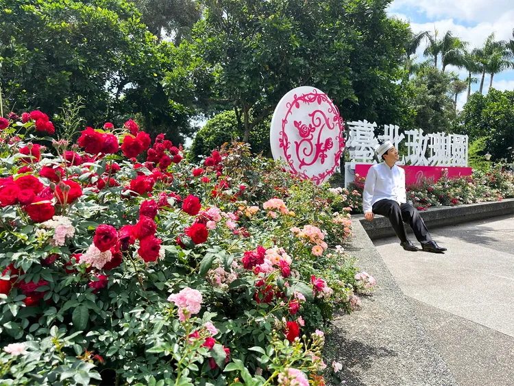 台北晶華酒店推出「玫好年華」住房專案。業者提供