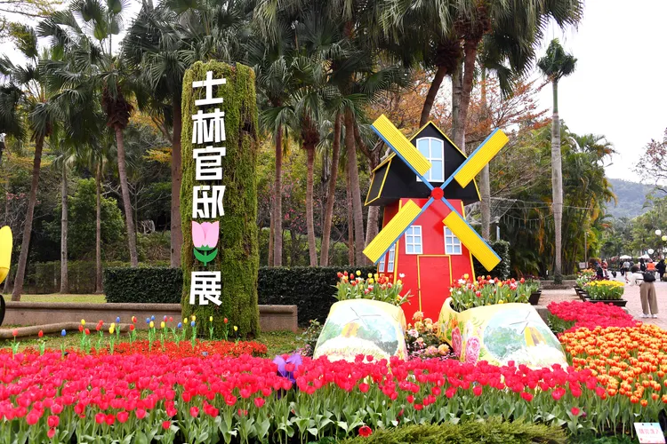 士林官邸公園每年2月至3月會舉辦鬱金香展。台北市政府觀傳局提供