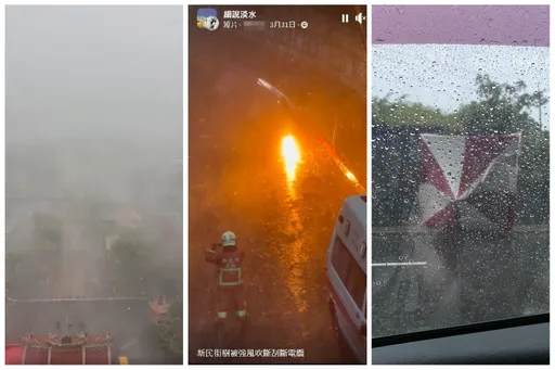 淡水宛如颱風!樹倒刮斷電纜 居民哀號:大停電