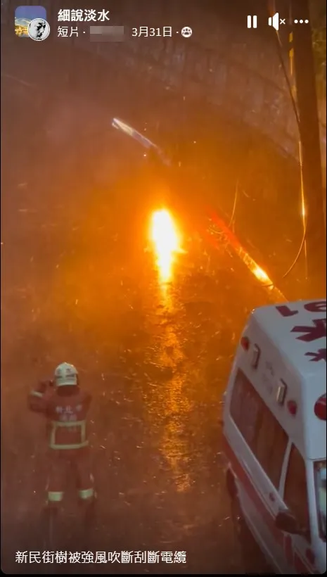 疑因路樹被強風吹斷，倒下的樹枝刮斷電纜，造成停電。翻攝《細說淡水》社團