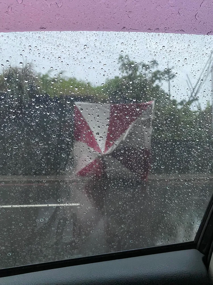 登輝大道往三芝方向，快到新市一路的路旁，有一個大型遮雨棚被狂風吹到倒塌。《細說淡水》社團