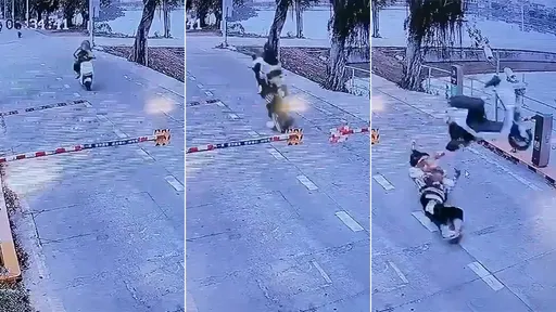 特技影片|機車急煞前滾翻「飛越柵欄」 但人類被它扔在地上