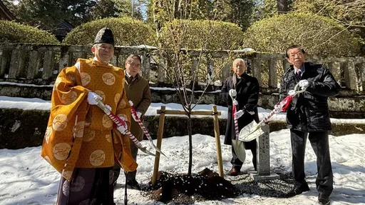 百年前日皇太子在台植櫻 櫻花返鄉深化台日友好