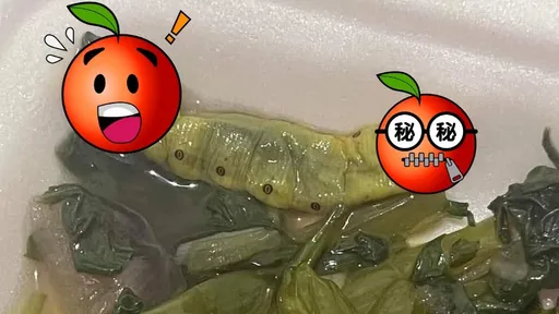 自助餐驚見巨大「豌豆莢」 真相讓人嚇傻!網勸:慶幸是完整的
